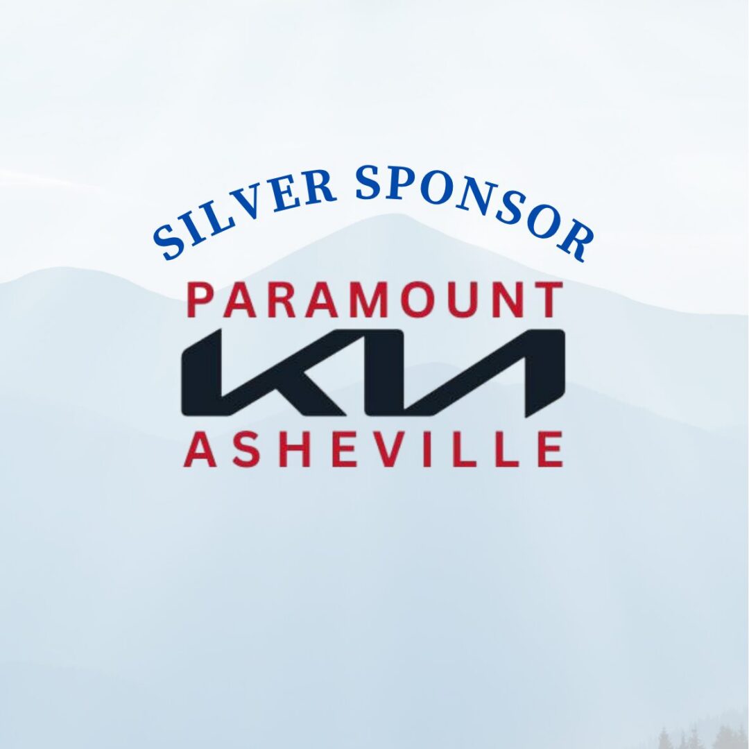 Paramount Kia Website